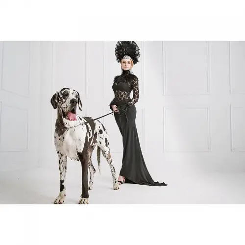 Fashion Jonge Vrouw & Grote Hond 180x120x2cm