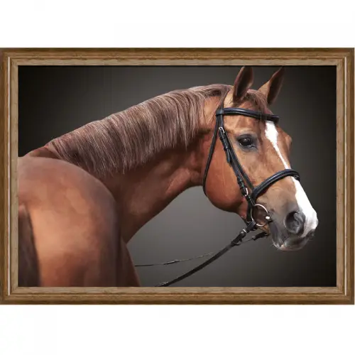 Bruin paard 2 80x60x3cm