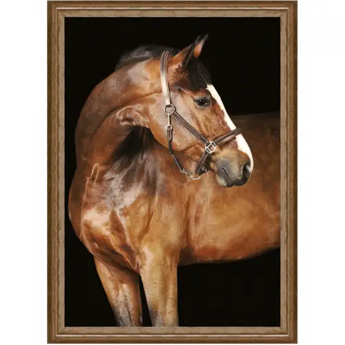 By Kohler Bruin paard 1 60x80x3cm (105173)