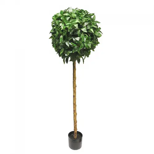 Laurus Nobilis Bal Op Stam Groen 45x45x150cm