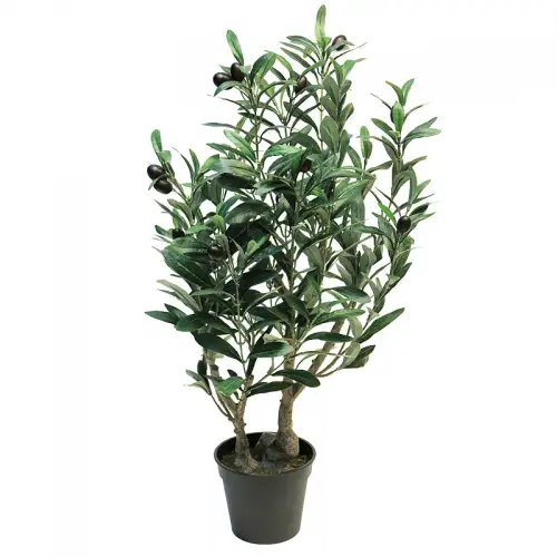 Olijfboom 70x50x40cm