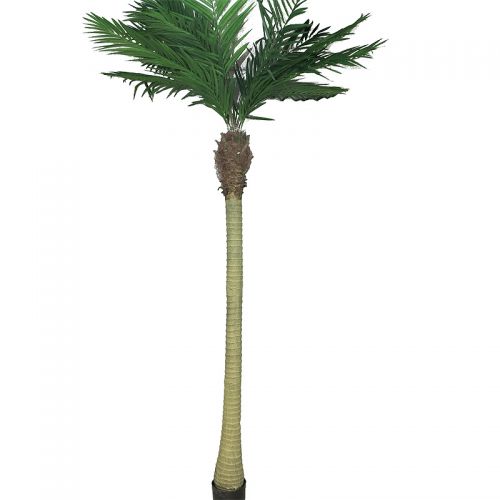 Areca Palm Maui W/Pot 240x70x30cm Areca Palm Maui W/Pot 240x70x30cm