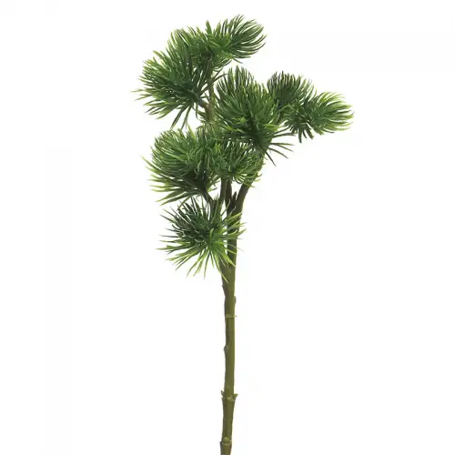 By Kohler Pinus Spray Mugo Groen 58cm (114524)