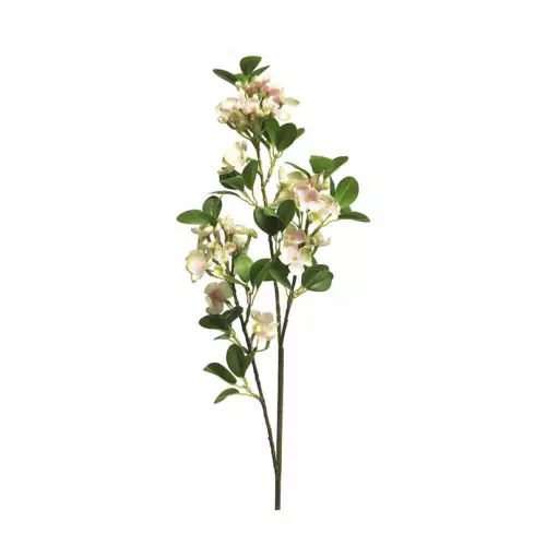 Wilde seringa Auke roze 65cm