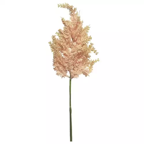 (Best) Astilbe tros roze 70cm