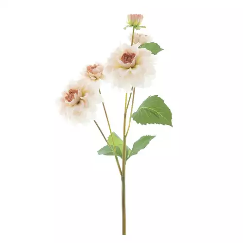 Dahlia tros open ogen oranje 60cm