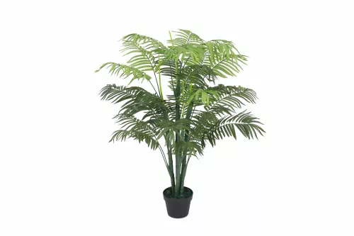 Palm 125cm