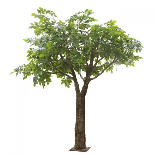 Reuze Ficusboom groen 160x160x230cm Reuze Ficusboom groen 160x160x230cm