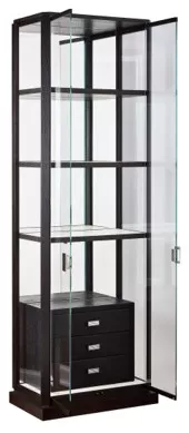 Vitrine Genf 87x47x220cm